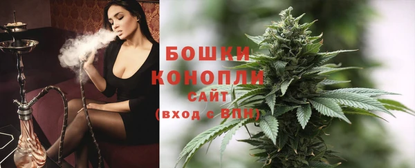 Альфа ПВП Аркадак