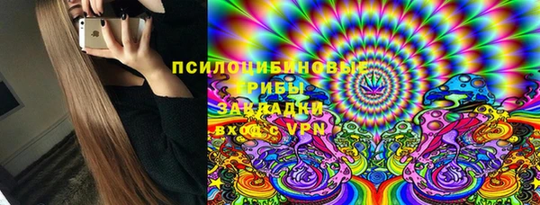 Альфа ПВП Аркадак