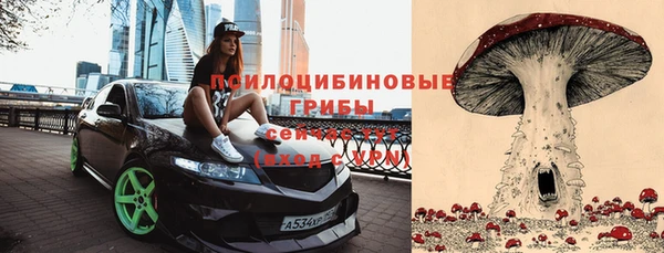 стафф Арсеньев