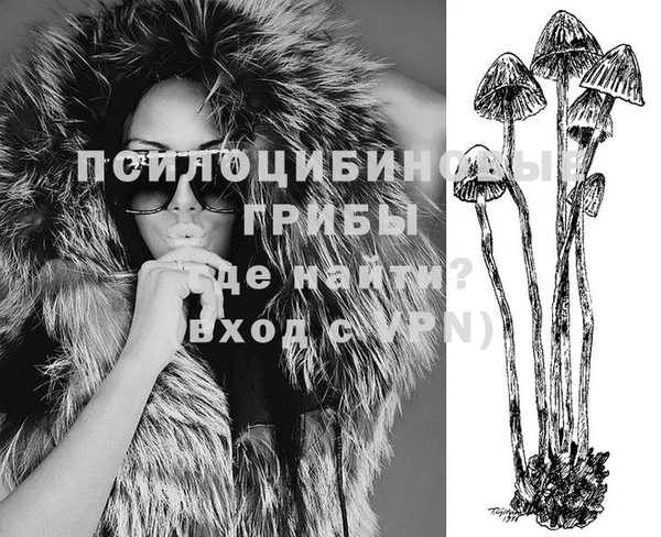 стафф Арсеньев