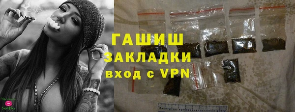стафф Арсеньев